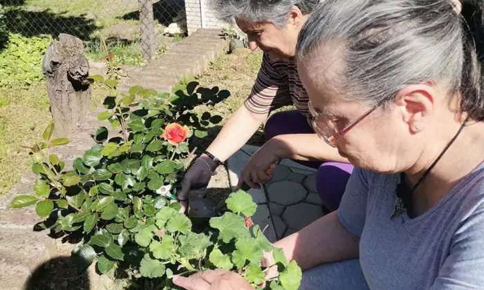 Proleće u domu Senior Plus – stanari zajedno zalivaju baštu