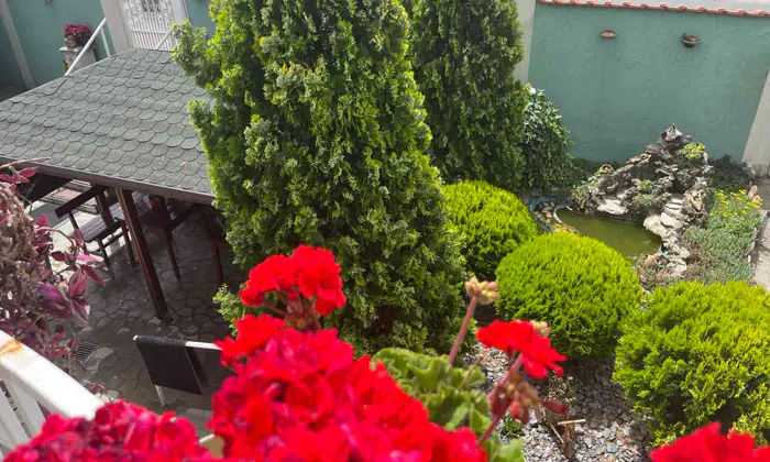 Radost svakog dana u domu Senior Plus – miris cveća i drvena klupa u zeleni bašti